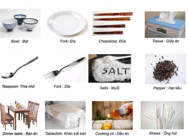 Người mất gốc nên học từ những kiến thức căn bản