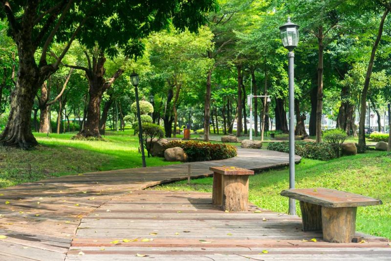 Chủ đề Thế giới tự nhiên