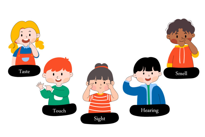 Mối liên hệ giữa giác quan và khả năng phản xạ ngôn ngữ